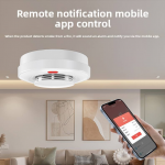 PHEANOO Tuya Wi-Fi Smart Smoke Alarm with PC Material Graffiti 433 Remote Standalone Application Multifunction Fire Alarm